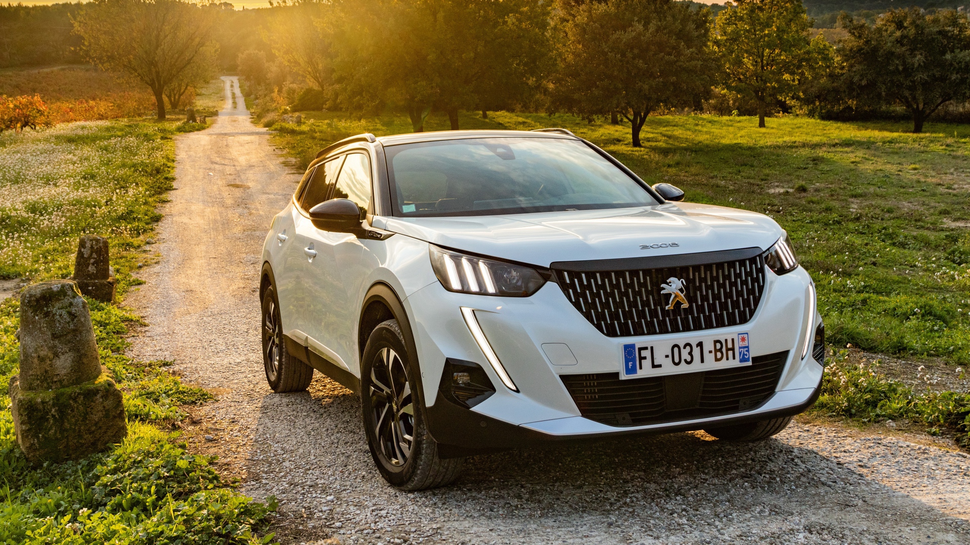 Белый внедорожник Peugeot 2008 GT Line 2019 года на дороге в лесу
