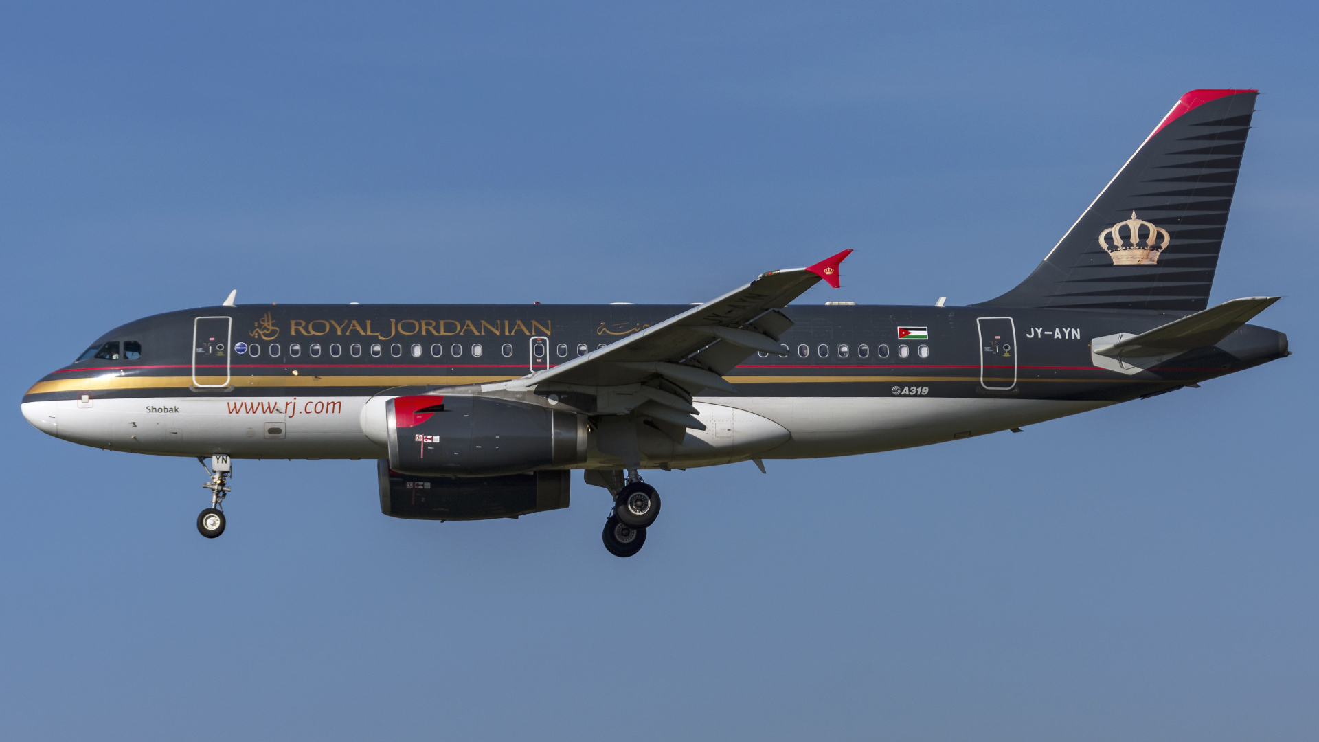Пассажирский  Airbus A319-100 авиакомпании  Royal Jordanian в небе 