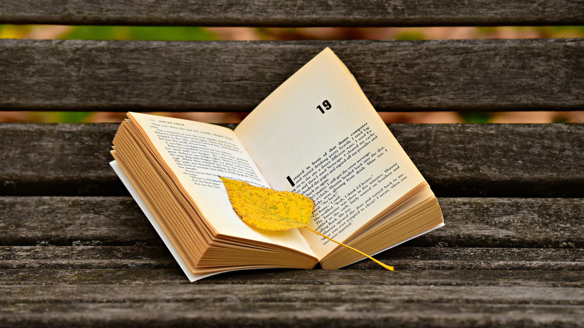 Открытая книга с желтым листом на лавке 