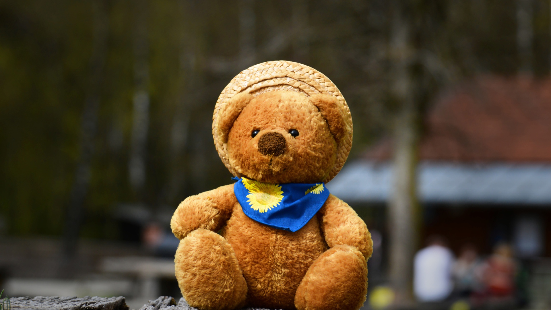 Плюшевый медвежонок в шляпе на земле 