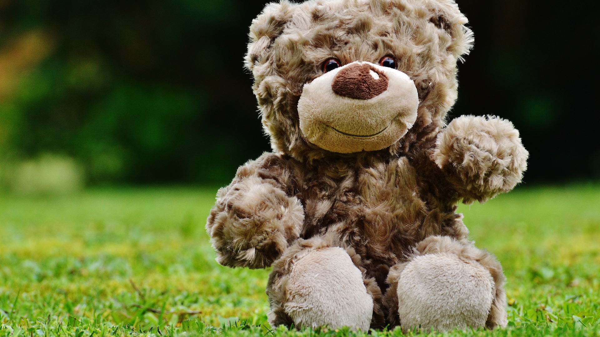 Игрушечный медвежонок сидит на зеленой траве