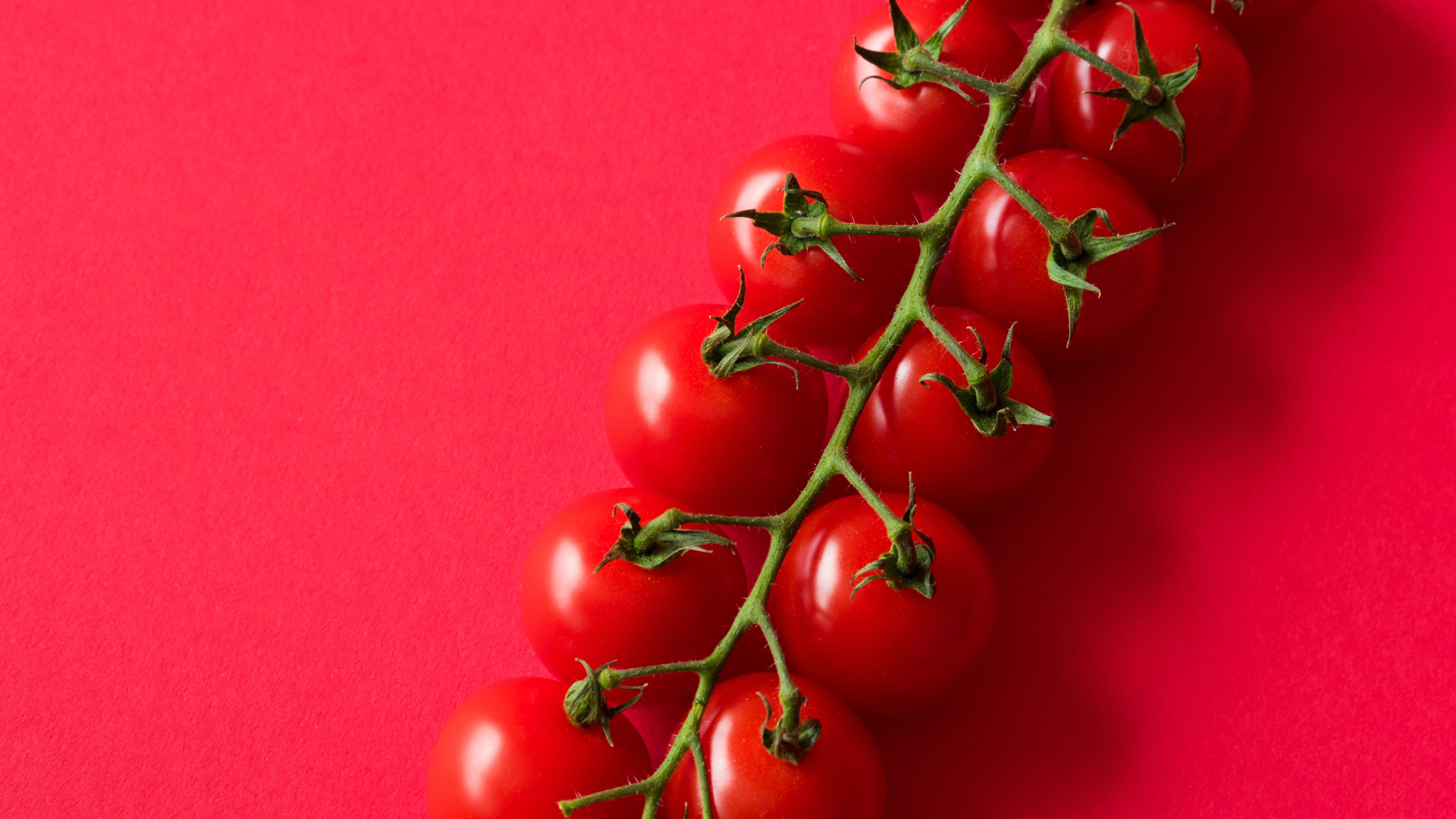 Много красных спелых помидоров на розовом фоне