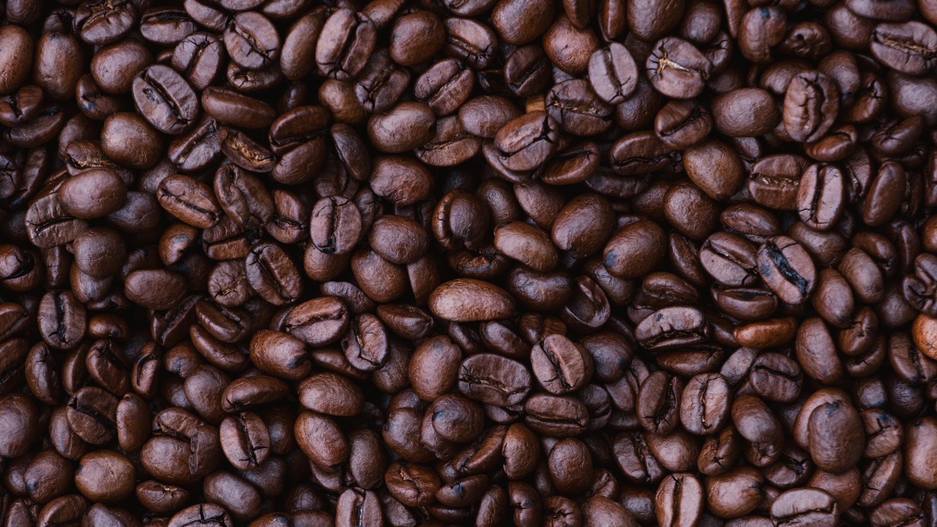 Ароматные зерна кофе арабика 