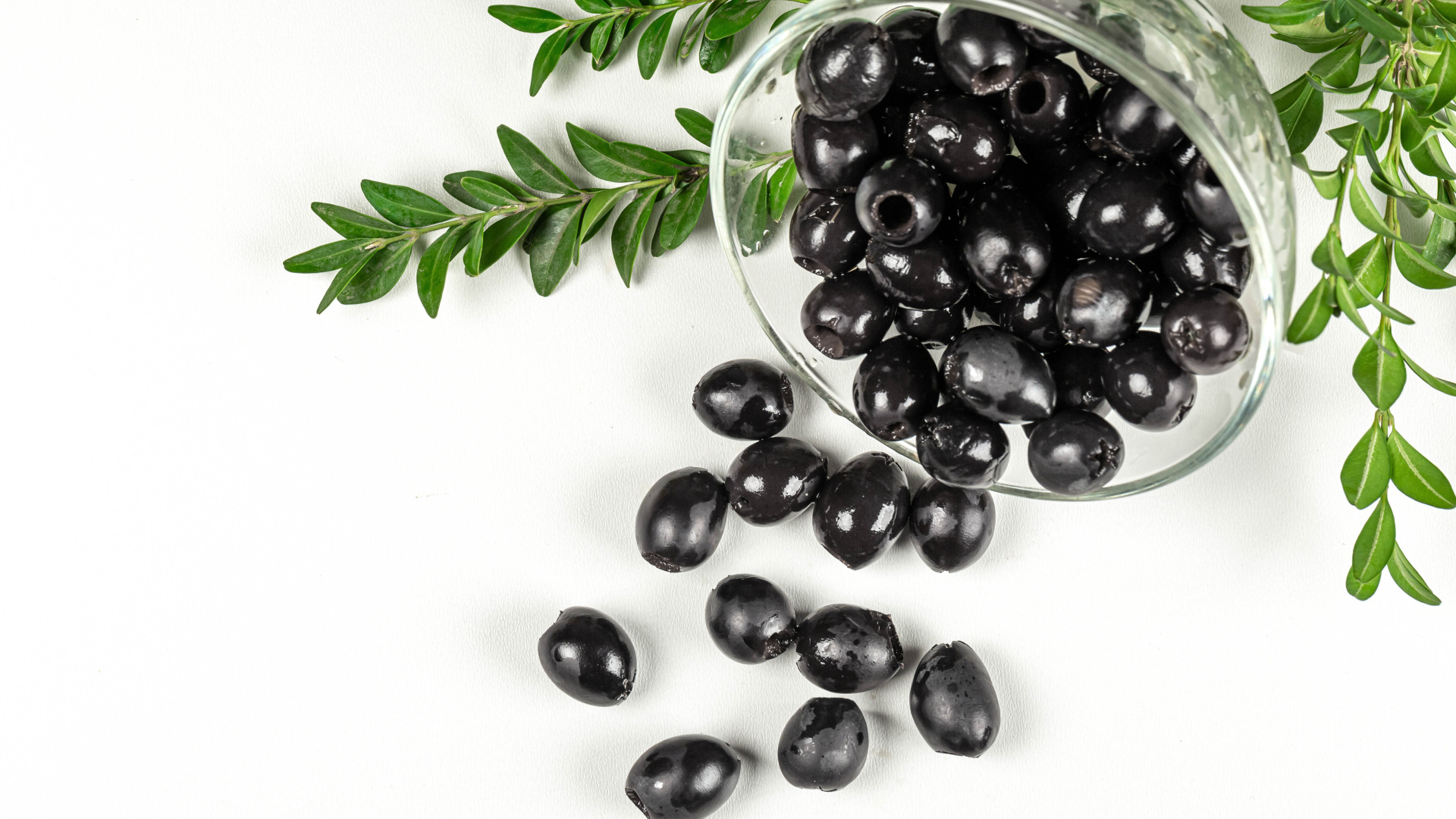 Черные маслины с розмарином на белом фоне