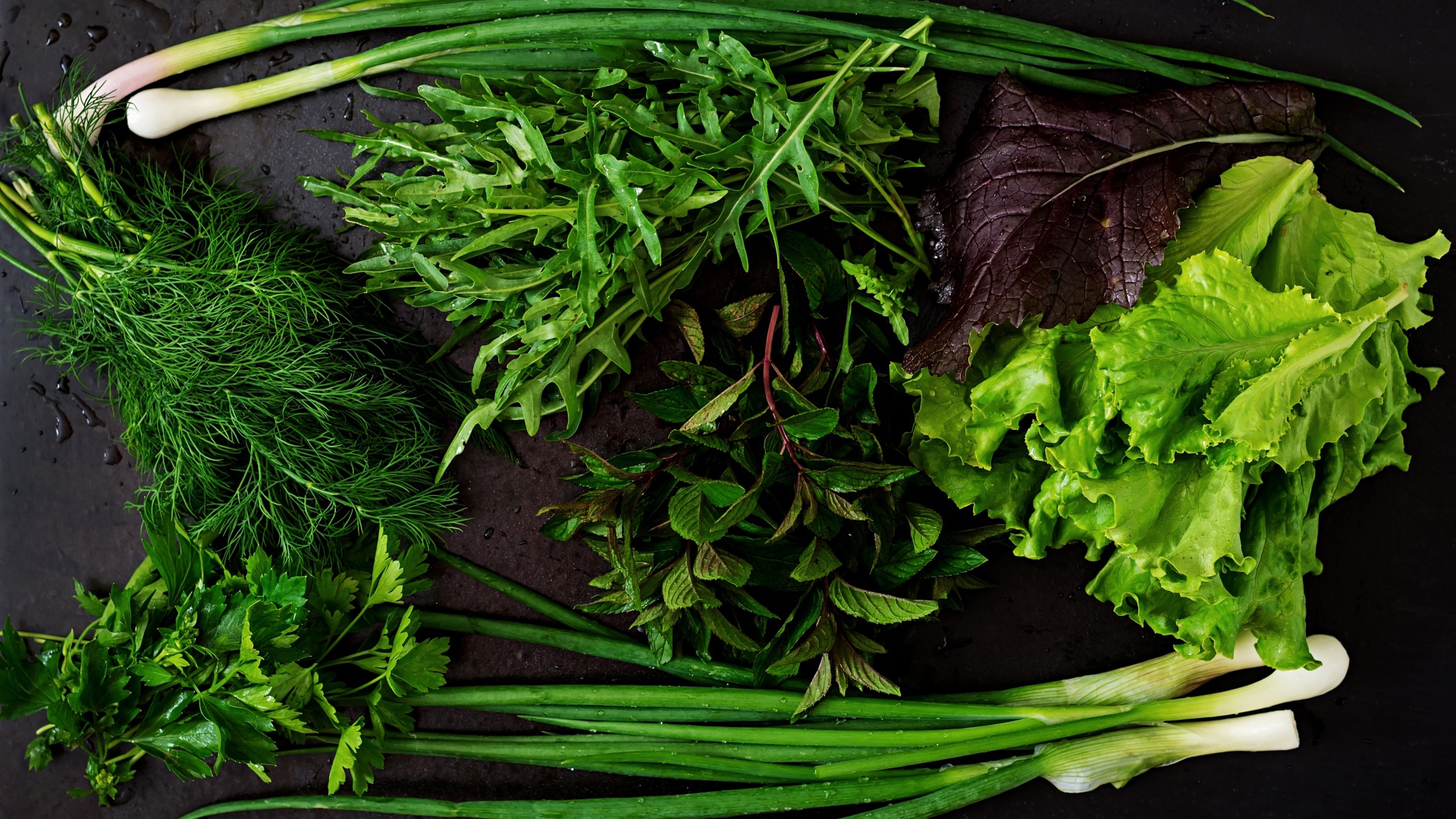 Свежая мокрая зелень лежит на столе 