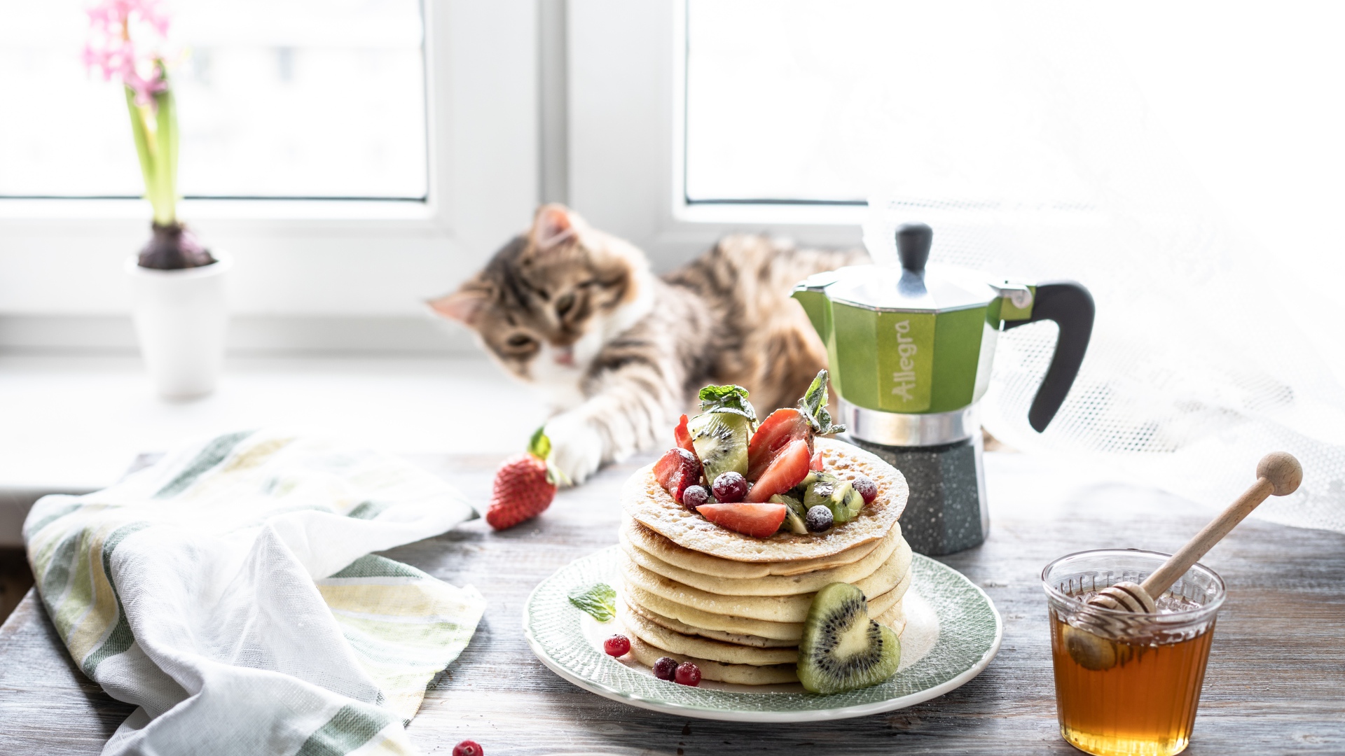 Блины на столе с ягодами, медом и котом 