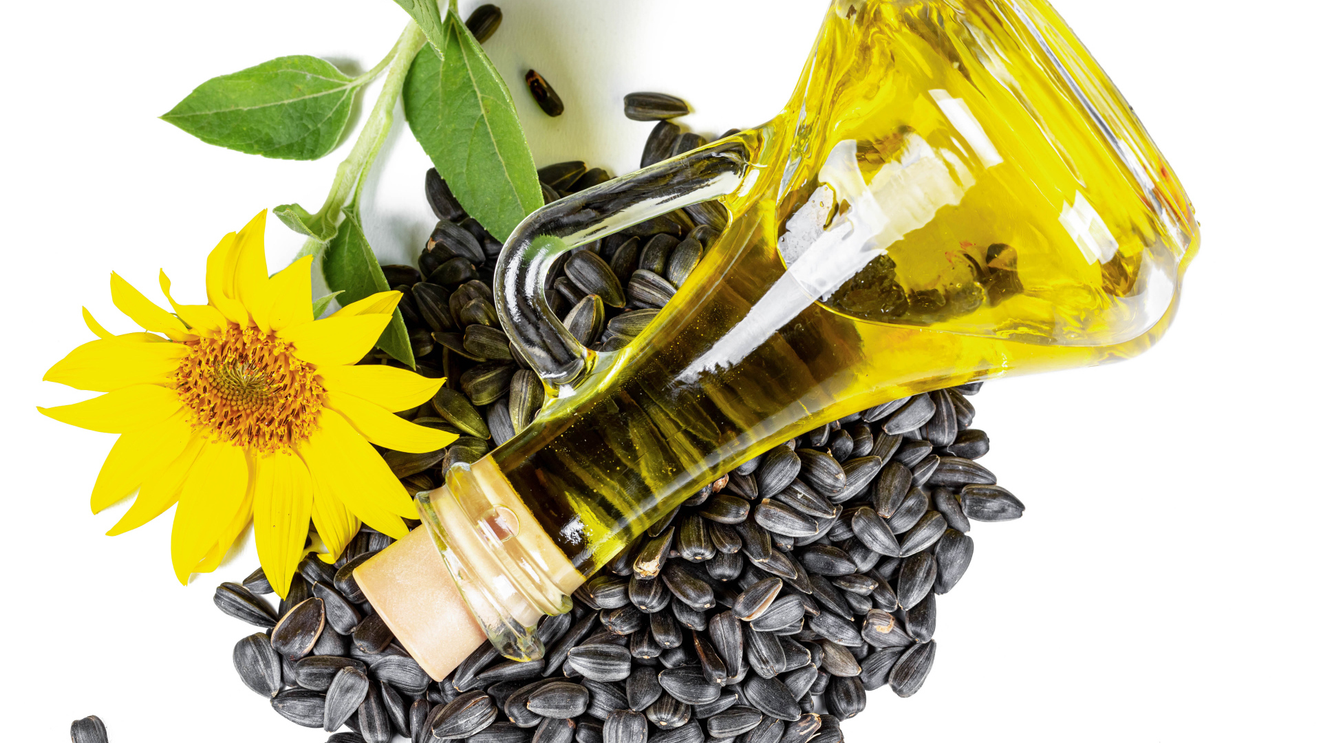 Подсолнечное масло с семечками и цветком