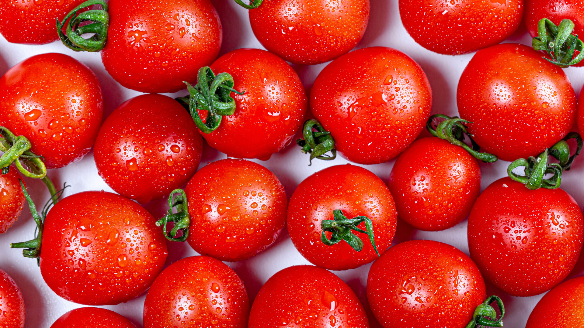 Мокрые красные помидоры крупным планом