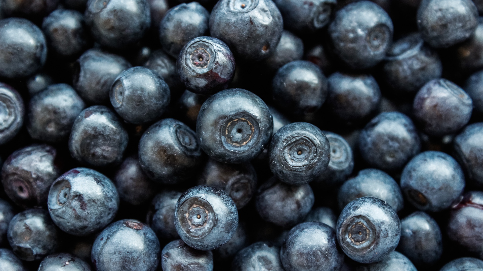 Ягоды черники крупным планом 