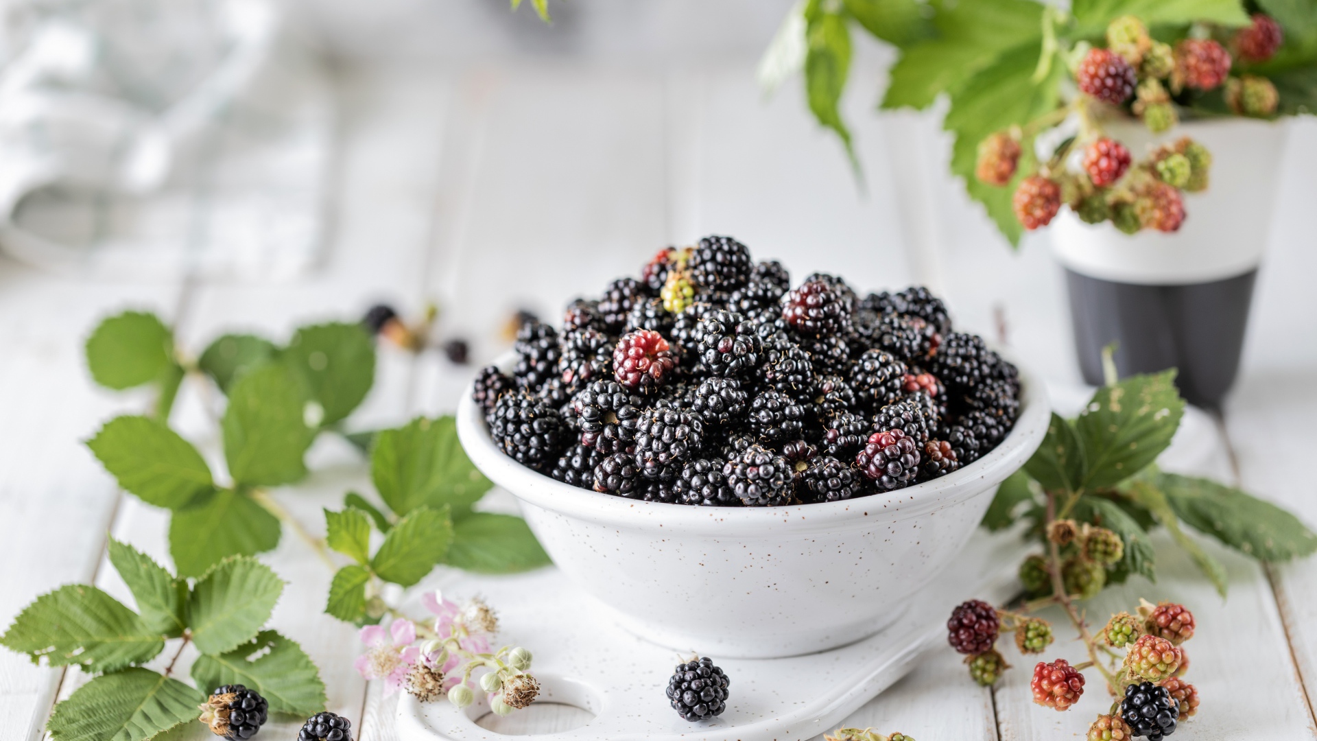 Вкусная ежевика на столе с ветками 