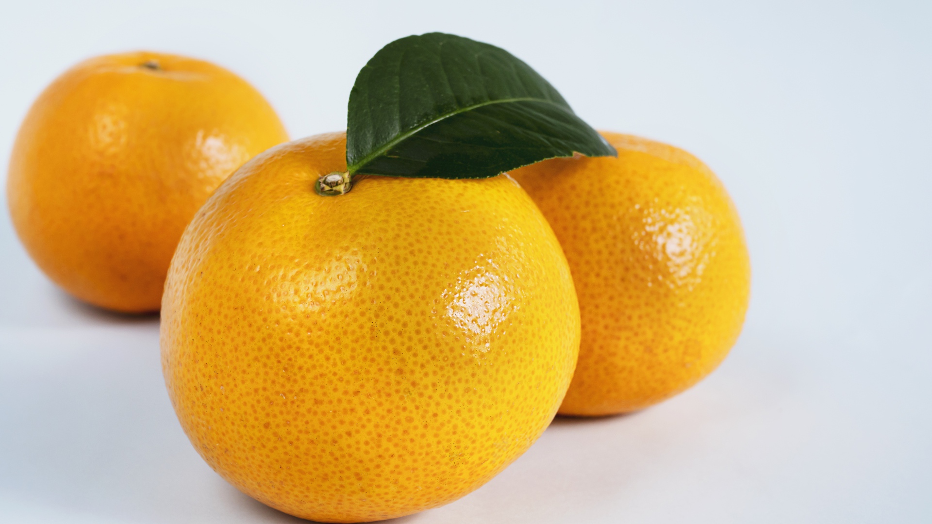 Три крупных спелых мандарина на сером фоне