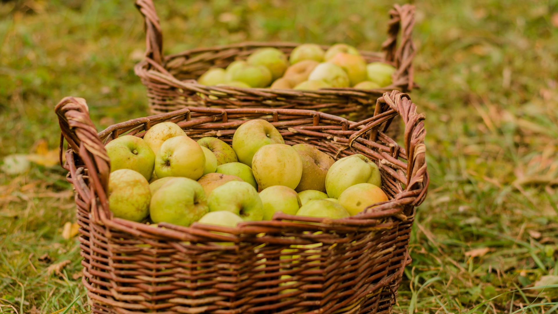Две большие корзины с зелеными яблоками