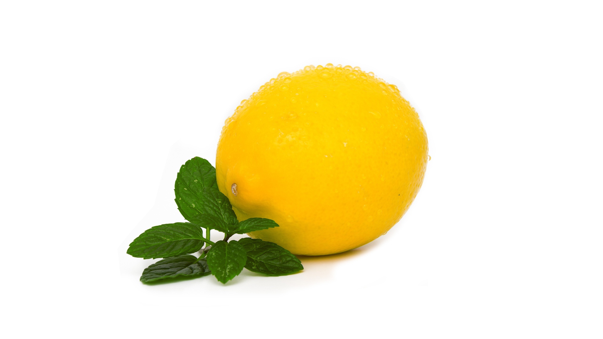 Мокрый лимон с мятой на белом фоне