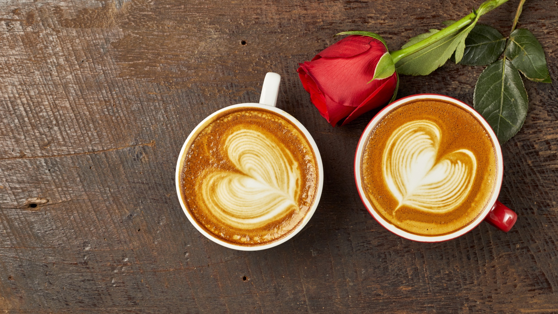 Две чашки капучино на столе с красной розой 