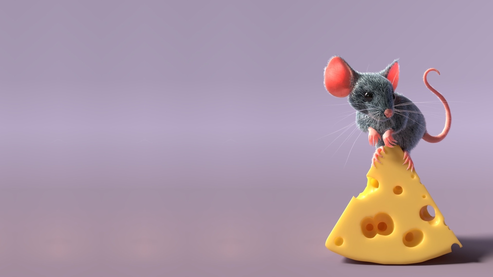Маленький серый мышонок на кусочке сыра 