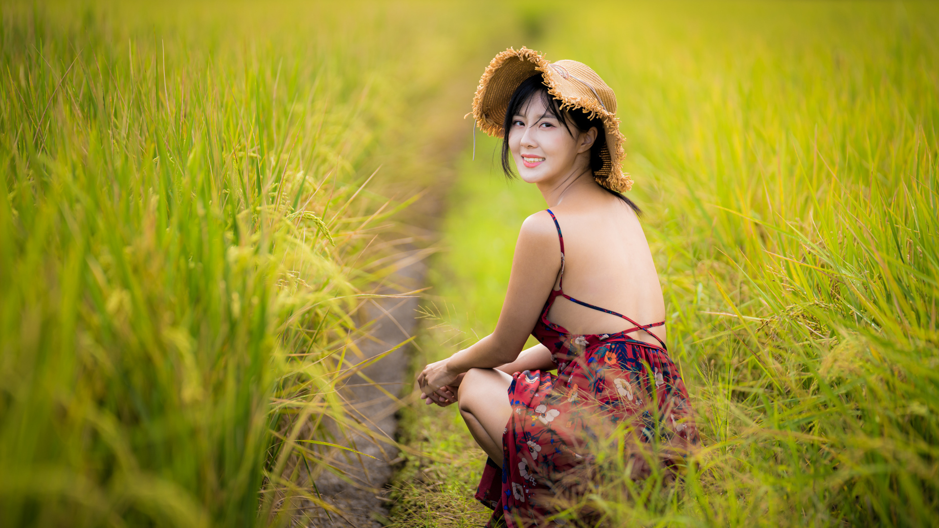Девушка азиатка сидит на рисовом поле 