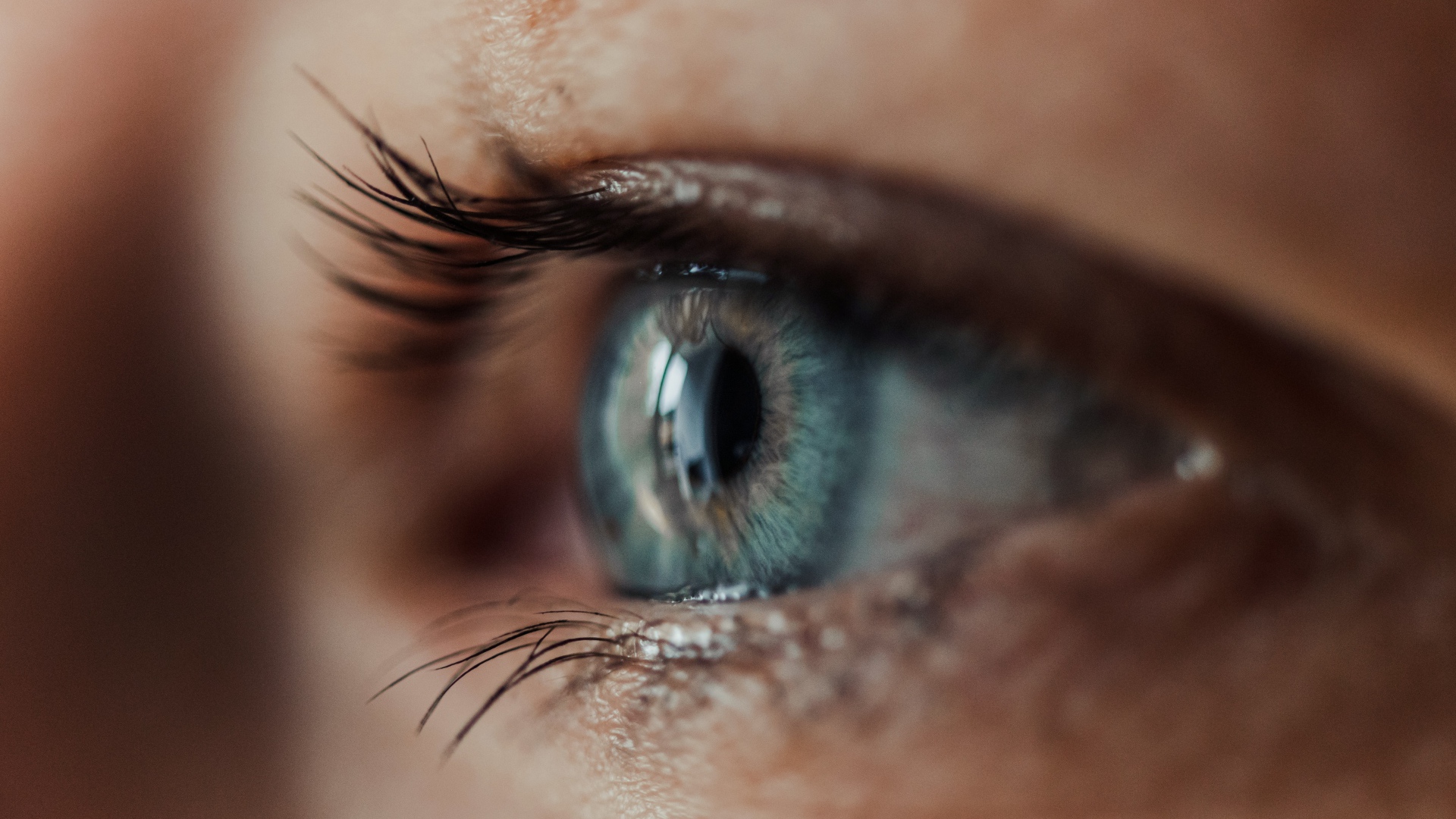 Красивый голубой глаз девушки крупным планом