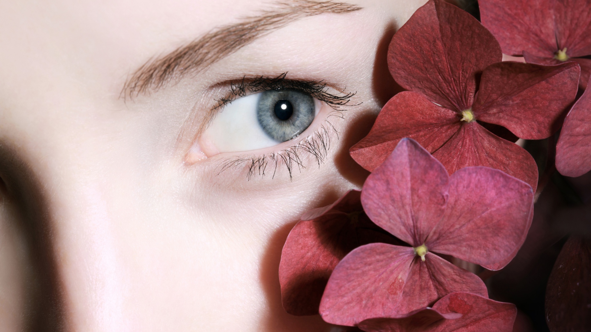 Глаз красивой девушки с красными цветами