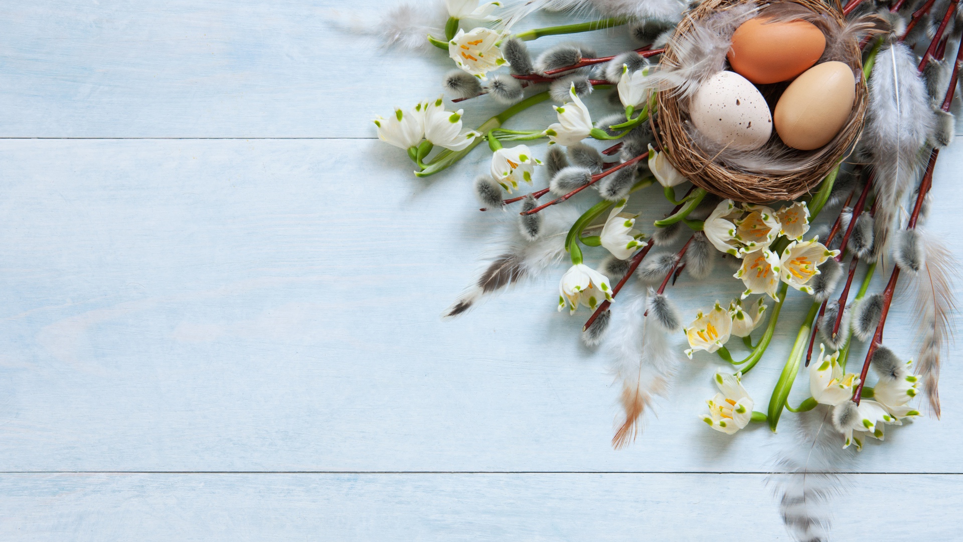 Яйца в гнезде на столе с ветками вербы на Пасху