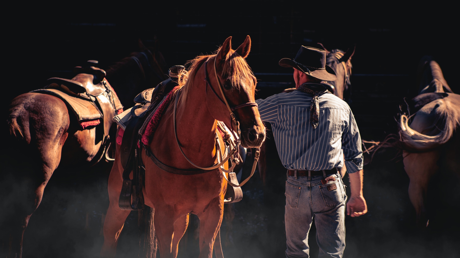 Мужчина ковбой с коричневой лошадью 