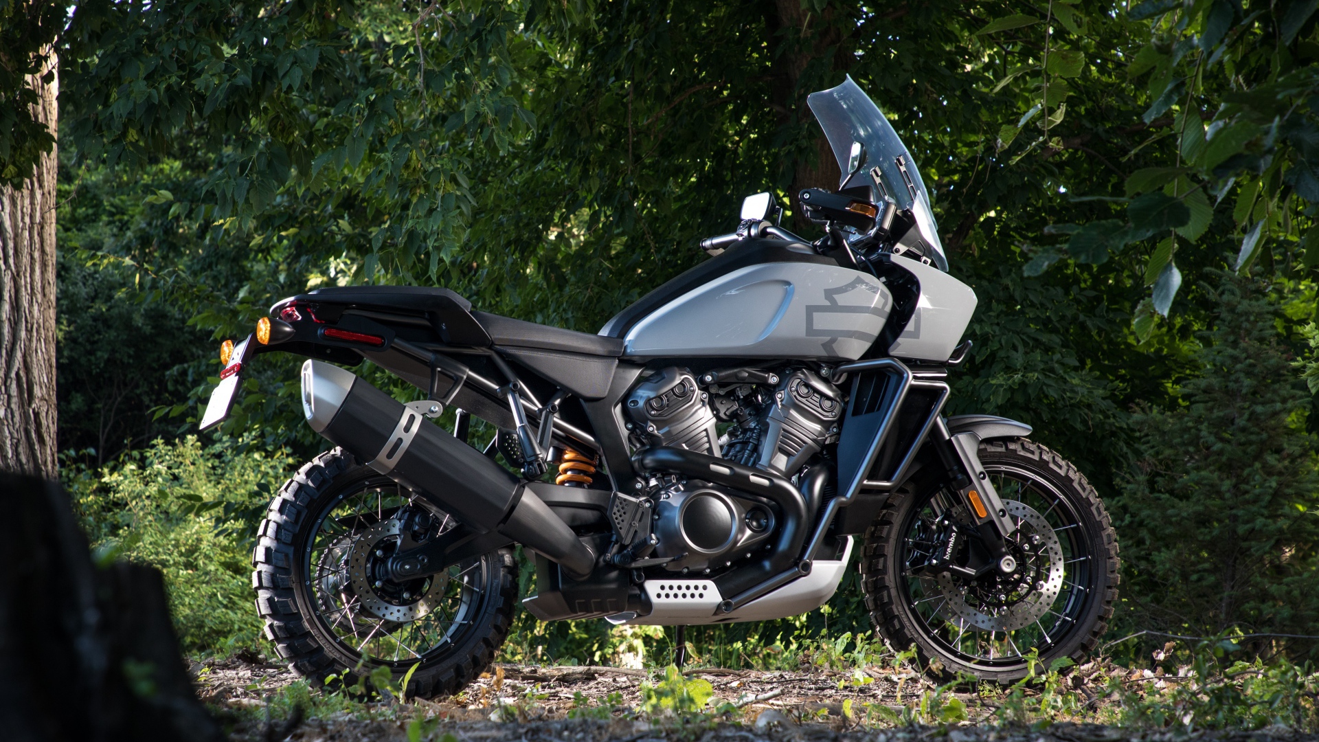 Мотоцикл Harley-Davidson в парке 