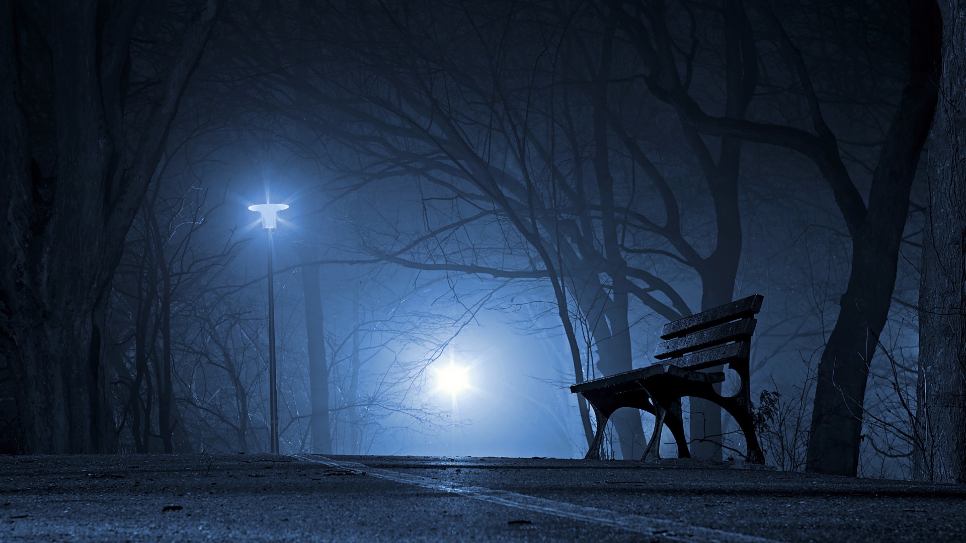 Лавочка в холодном ночном парке 