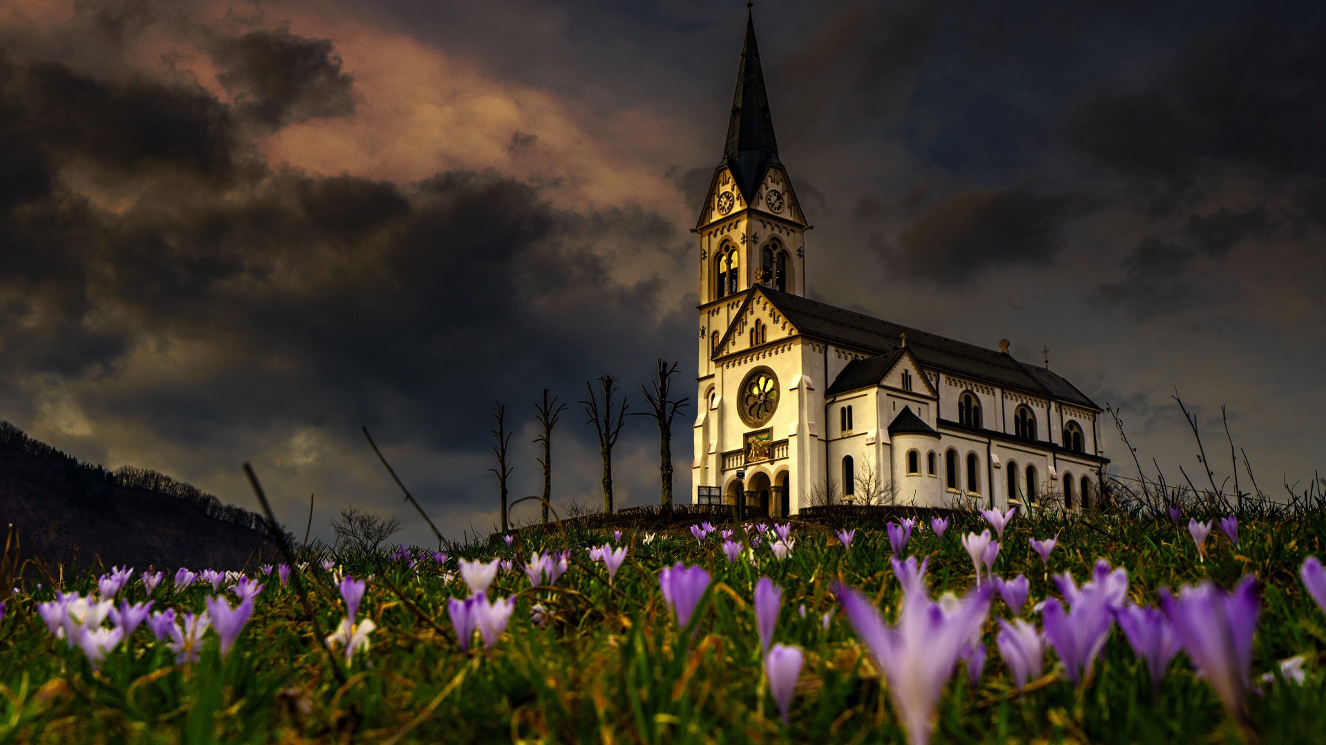 Старая часовня стоит на холме с цветами 