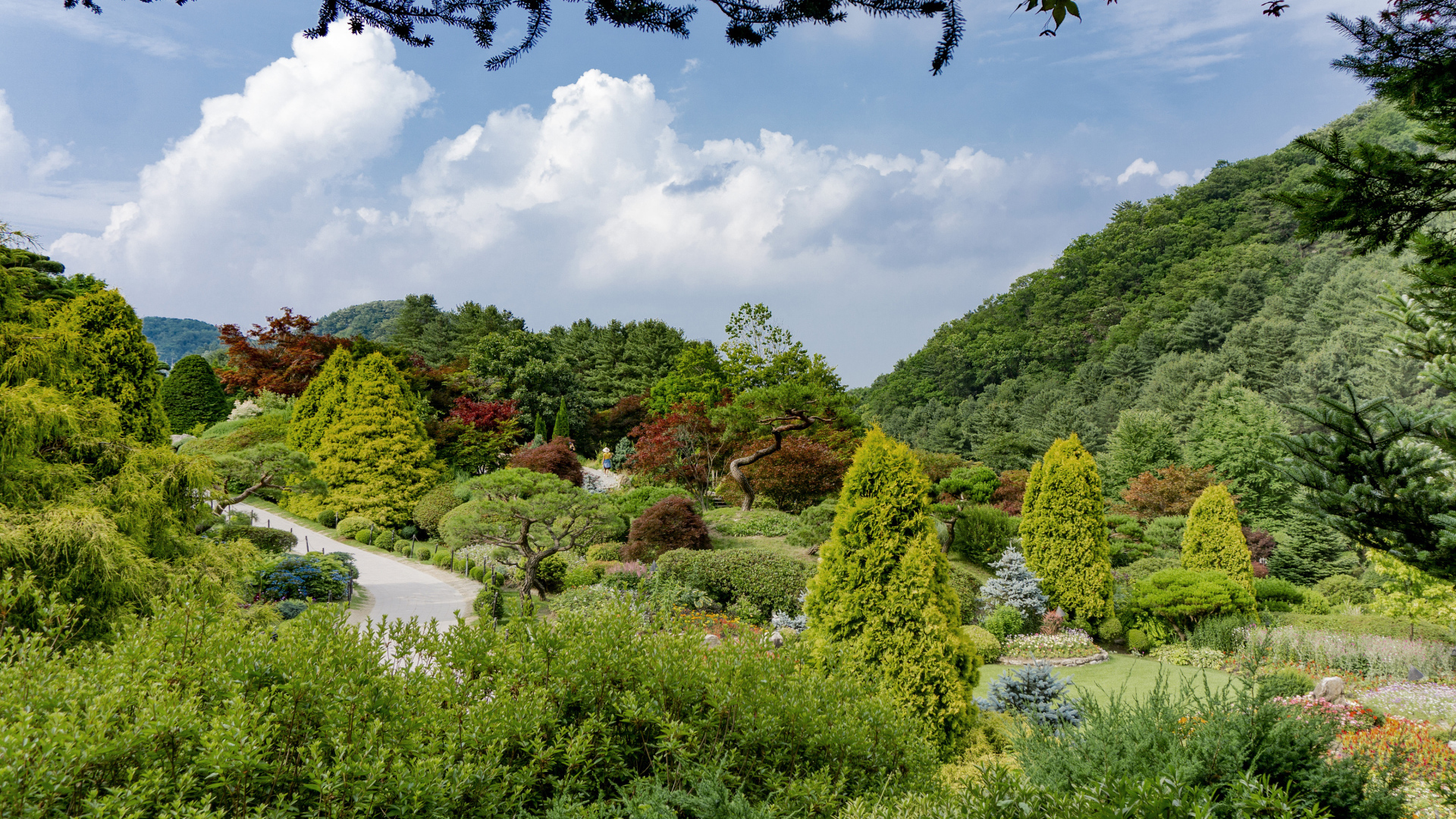 Красивый зеленый парк под голубым небом, Корея