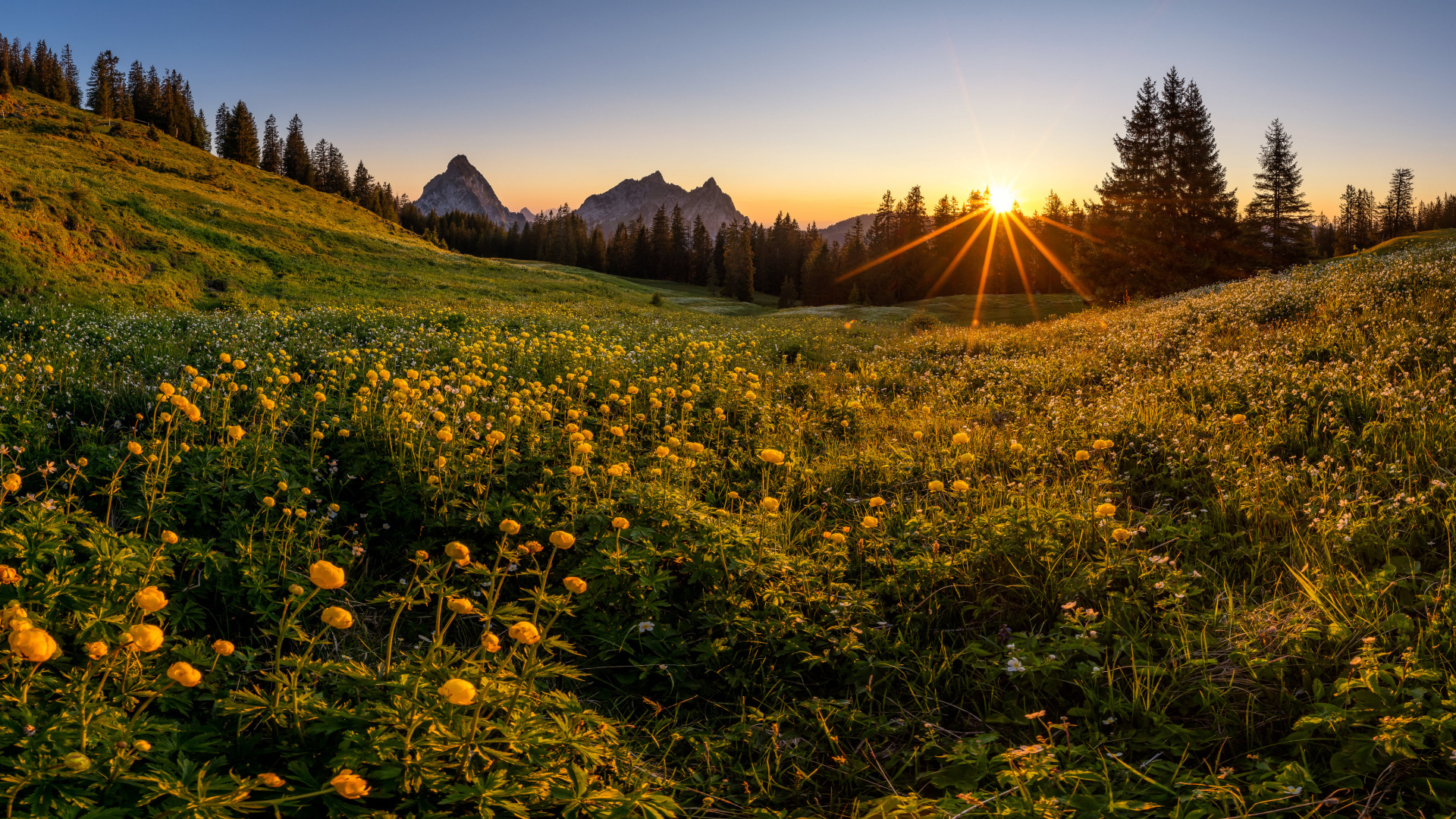 Красивый горный пейзаж солнечным днем