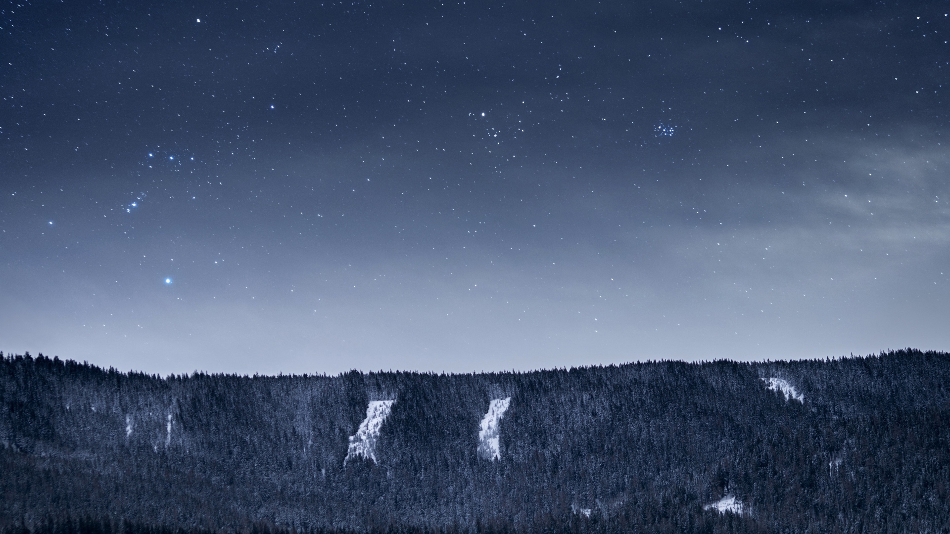 Вид на ночное небо со звездами над лесом