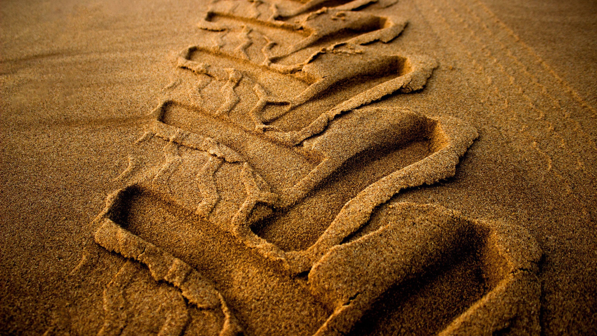 След от колеса трактора на мокром песке