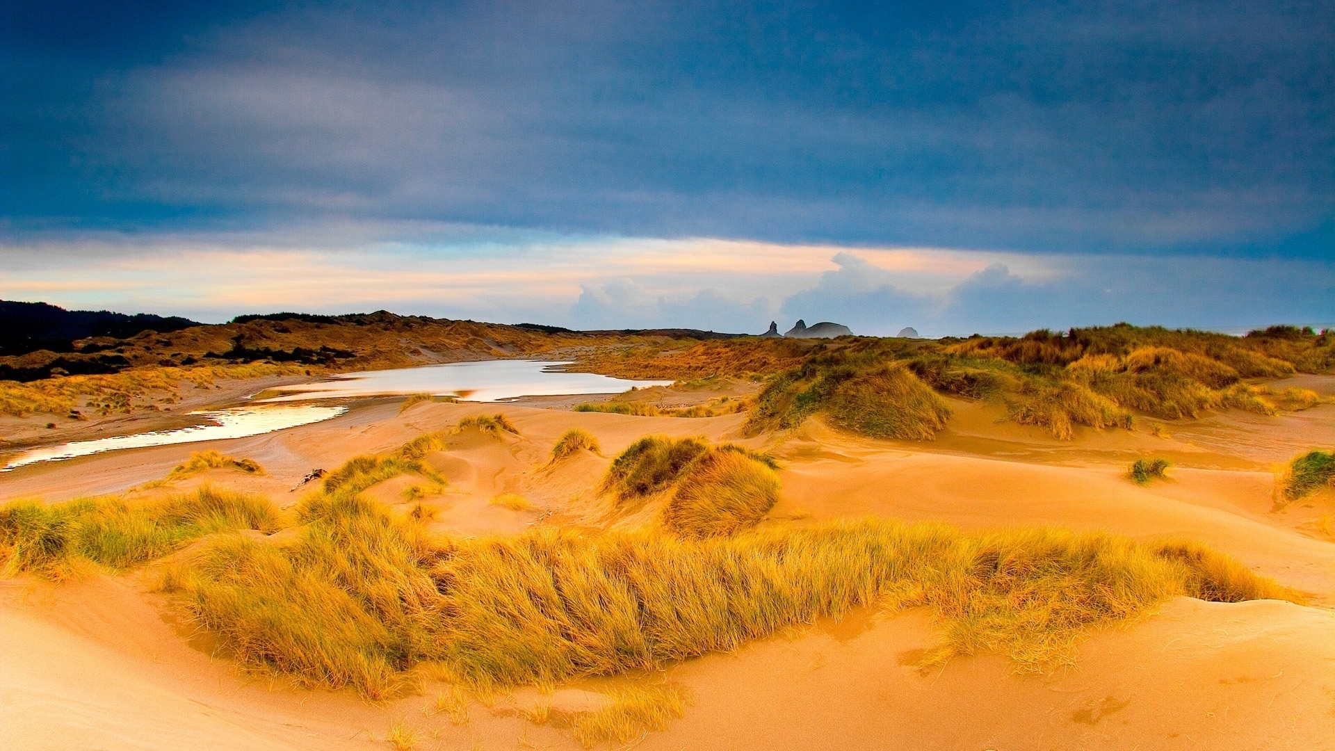 Мокрый песок с травой в пустыне