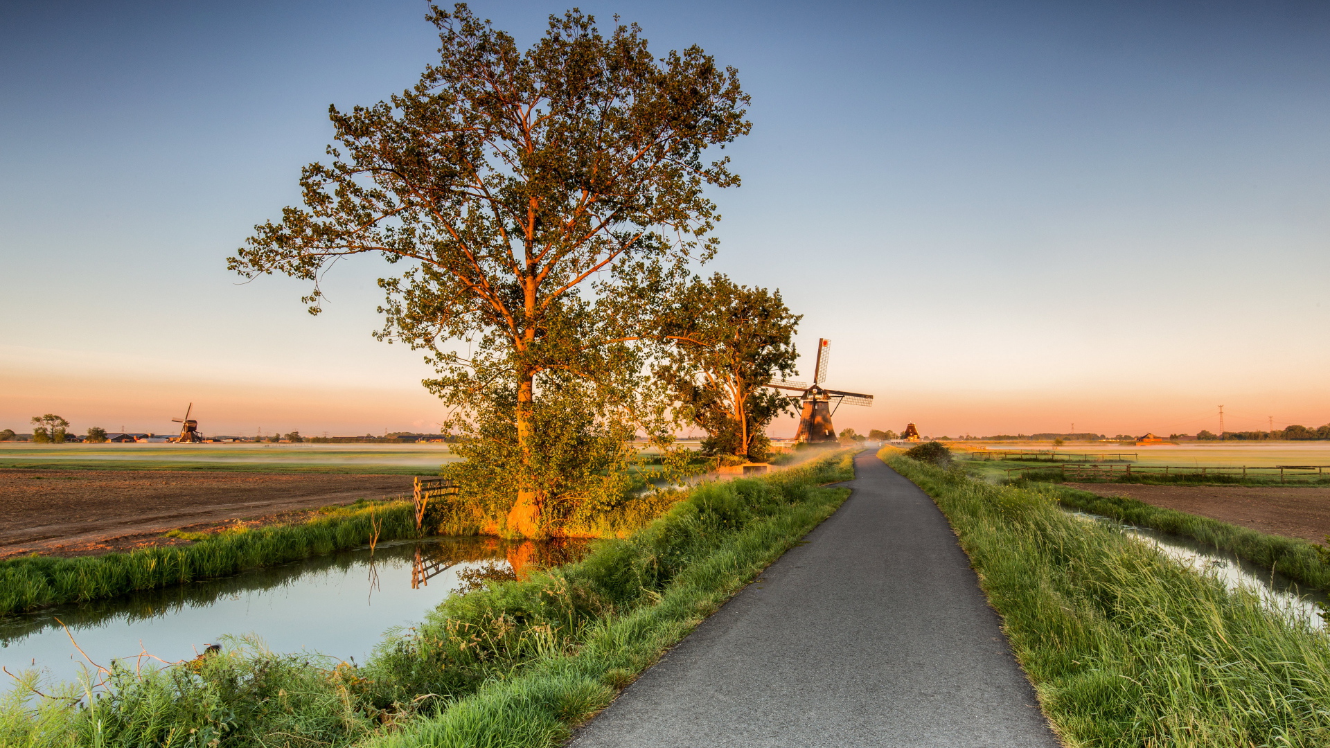 Поле и мельница у дороги на рассвете 
