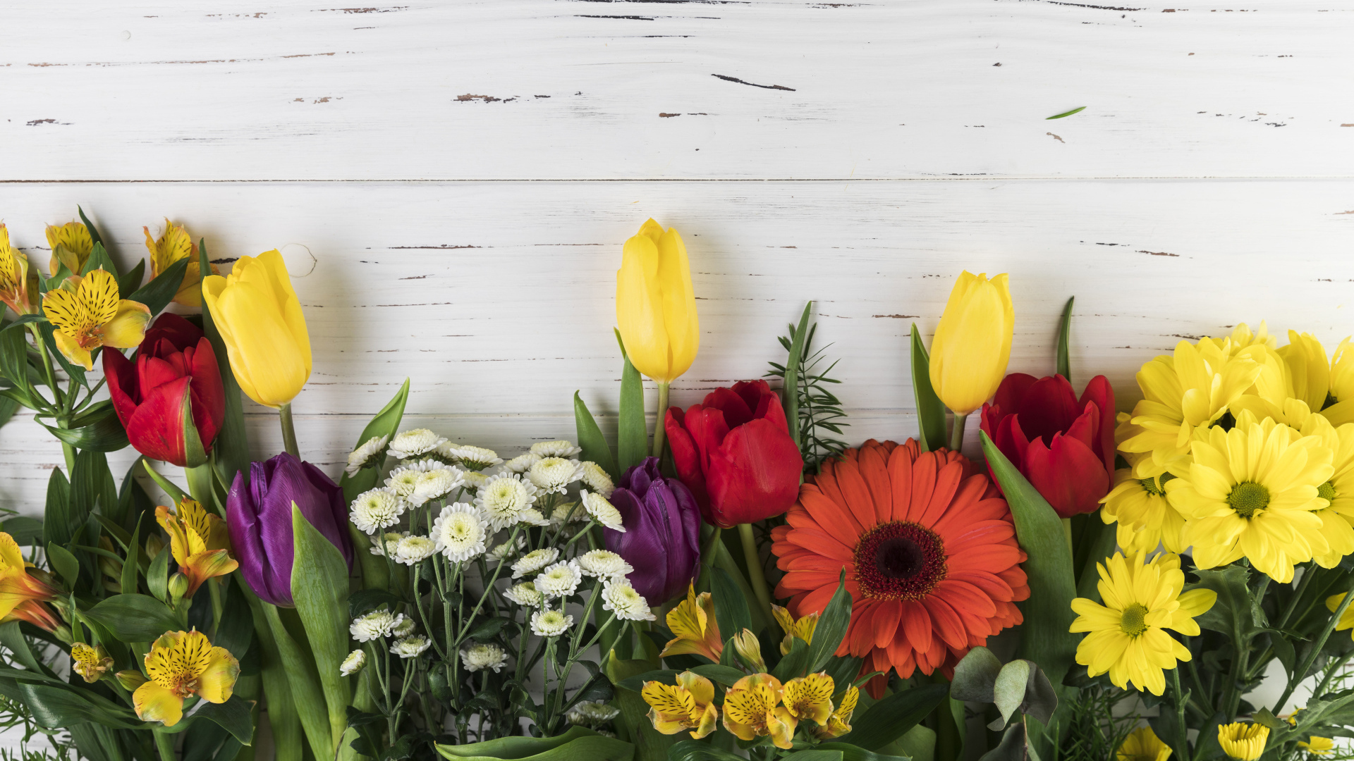 Цветы альстромерии, тюльпанов и георгин на белом фоне 