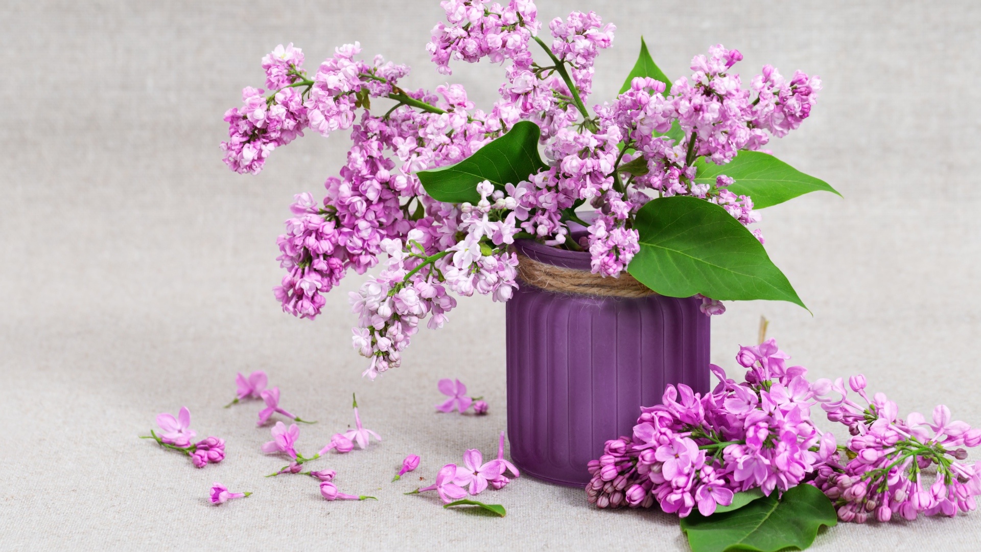 Красивая сирень в вазе на сером фоне