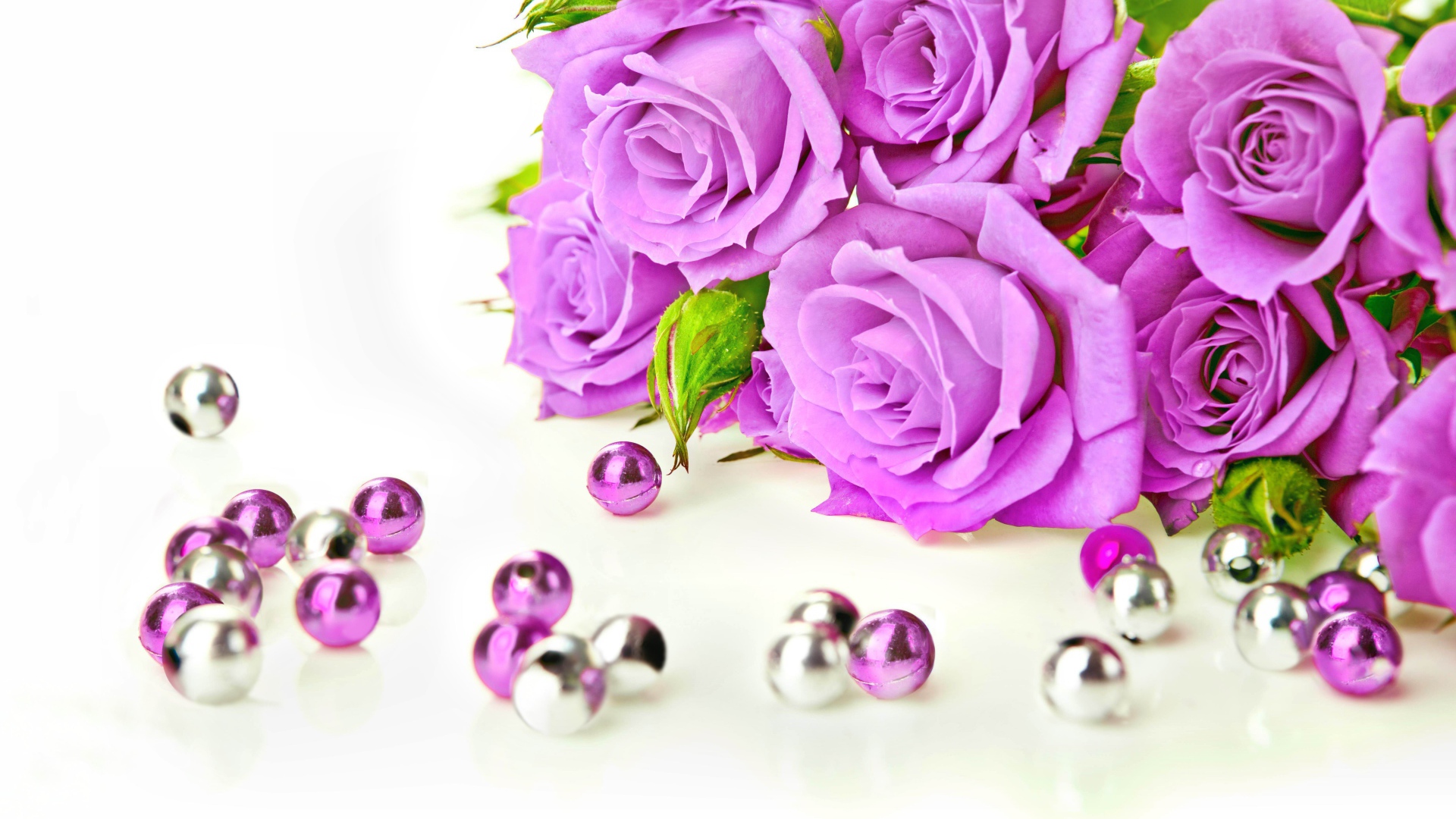 Красивые сиреневые розы на белом фоне с бусинами