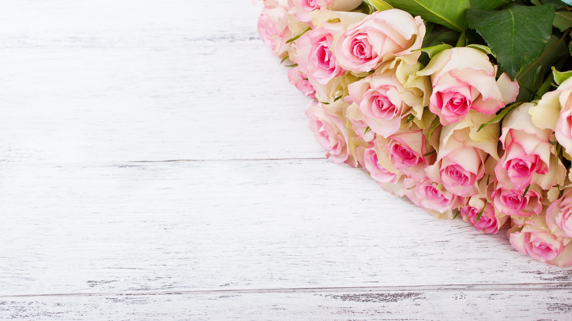 Большой дорогой букет розовых роз шаблон для открытки