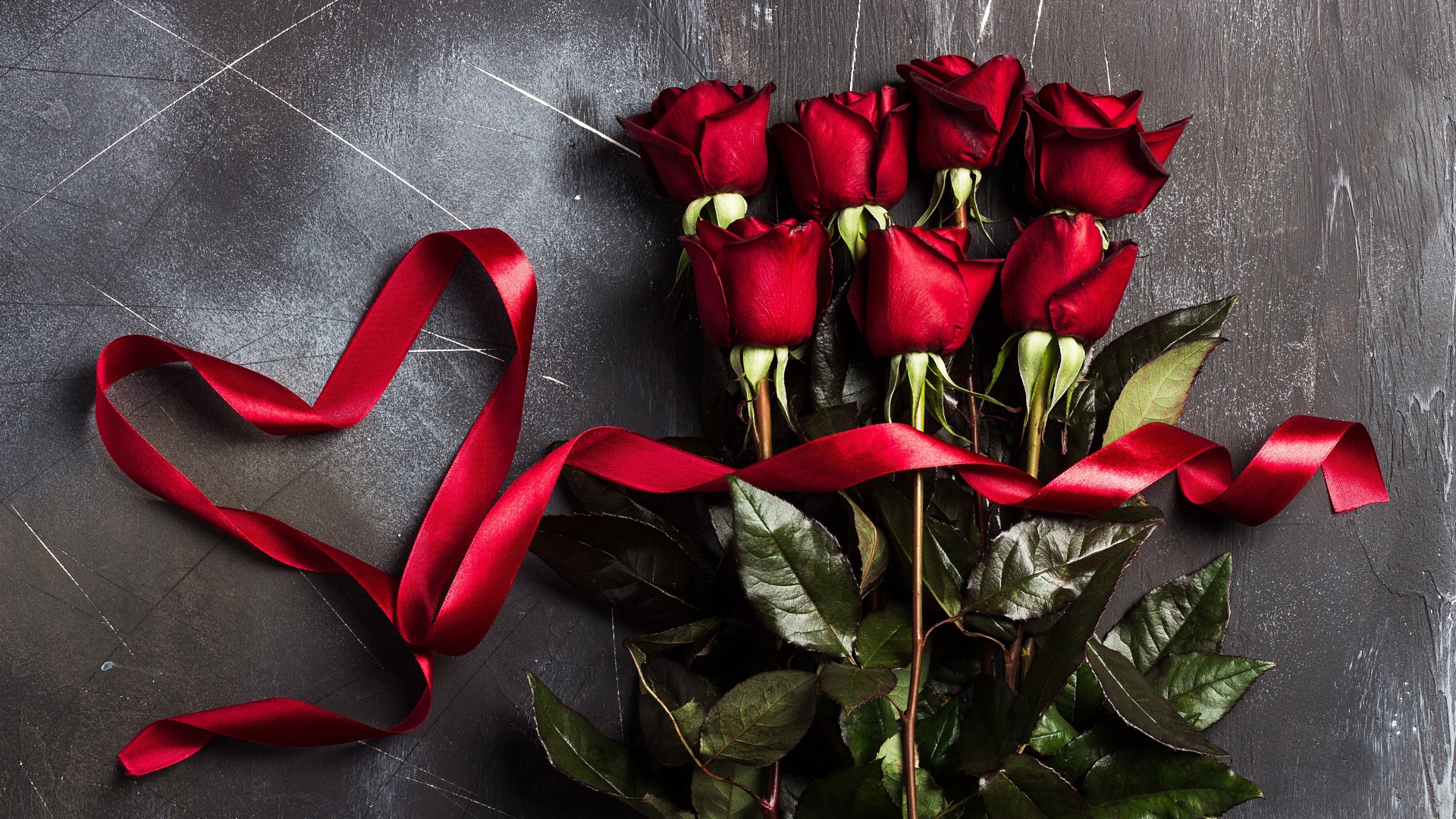 Букет красивых английских роз с красной лентой на сером фоне