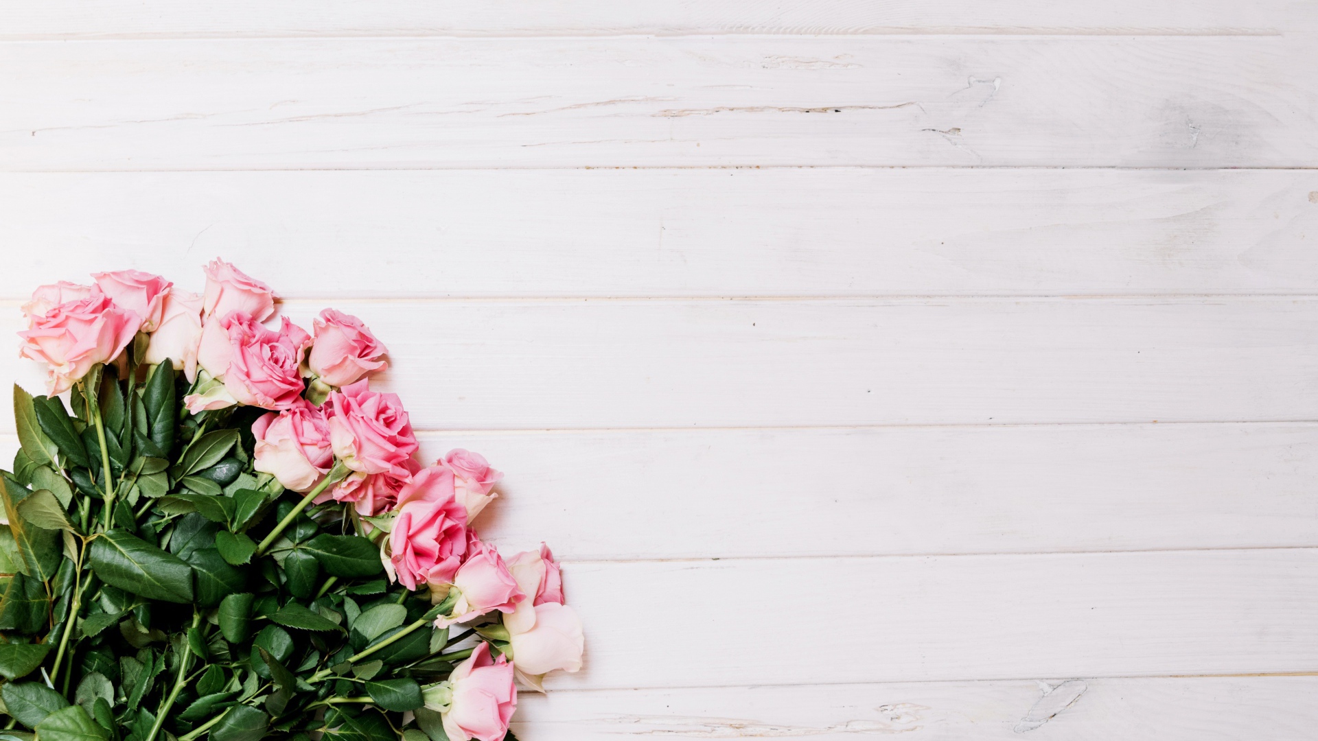 Букет красивых розовых роз на сером фоне 