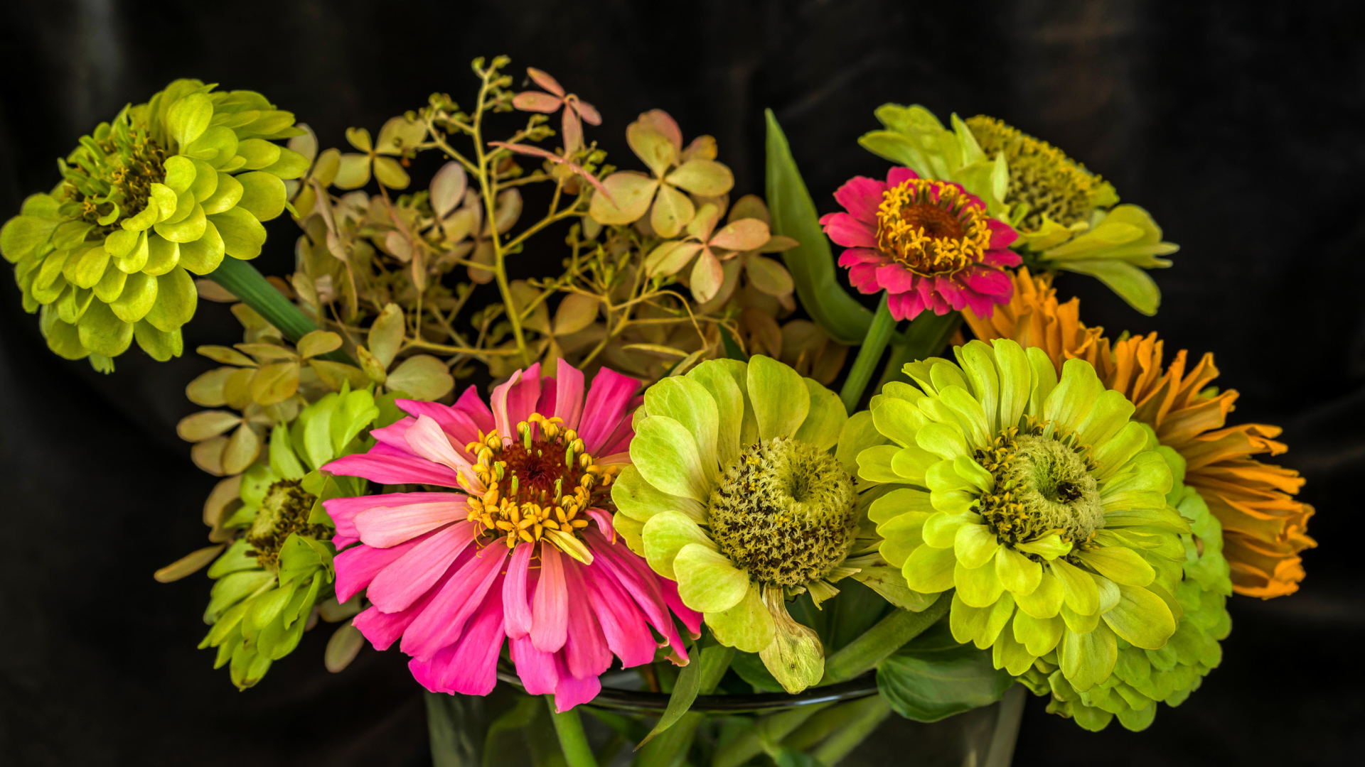 Букет разноцветных цветов цинния в вазе 