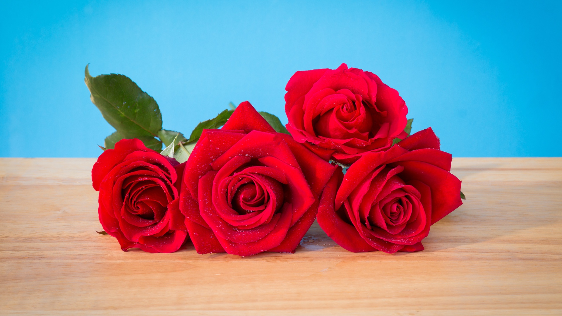 Букет красных роз на голубом фоне 