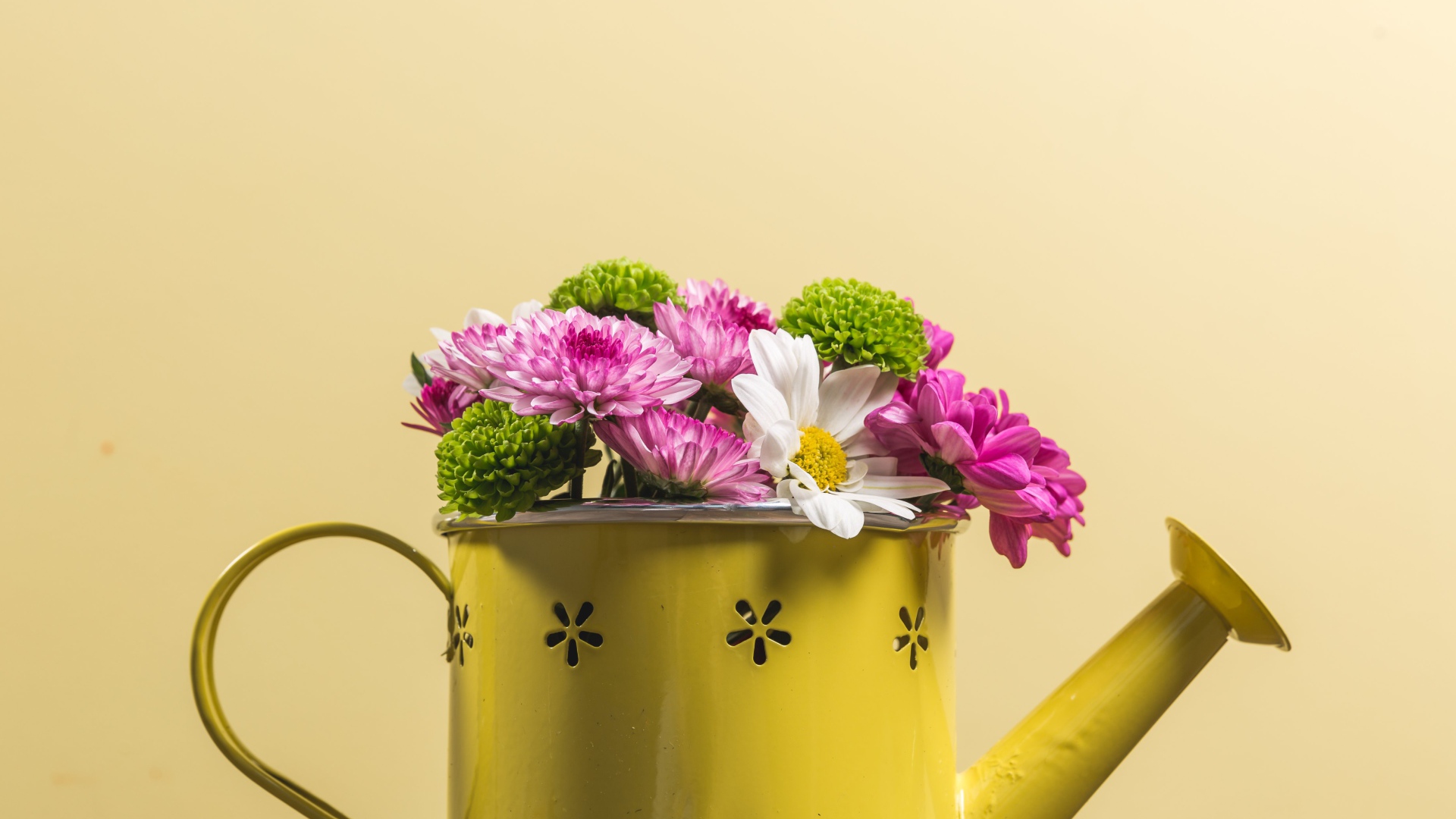 Букет хризантем в желтой лейке 