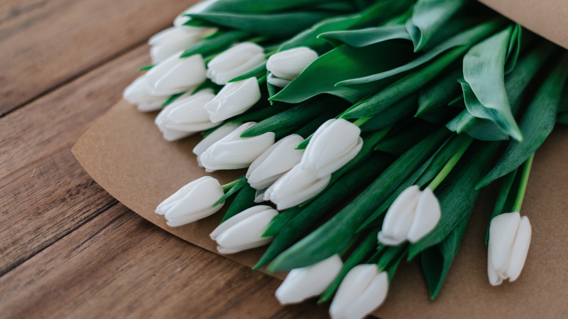 Большой букет белых тюльпанов в бумажном пакете 