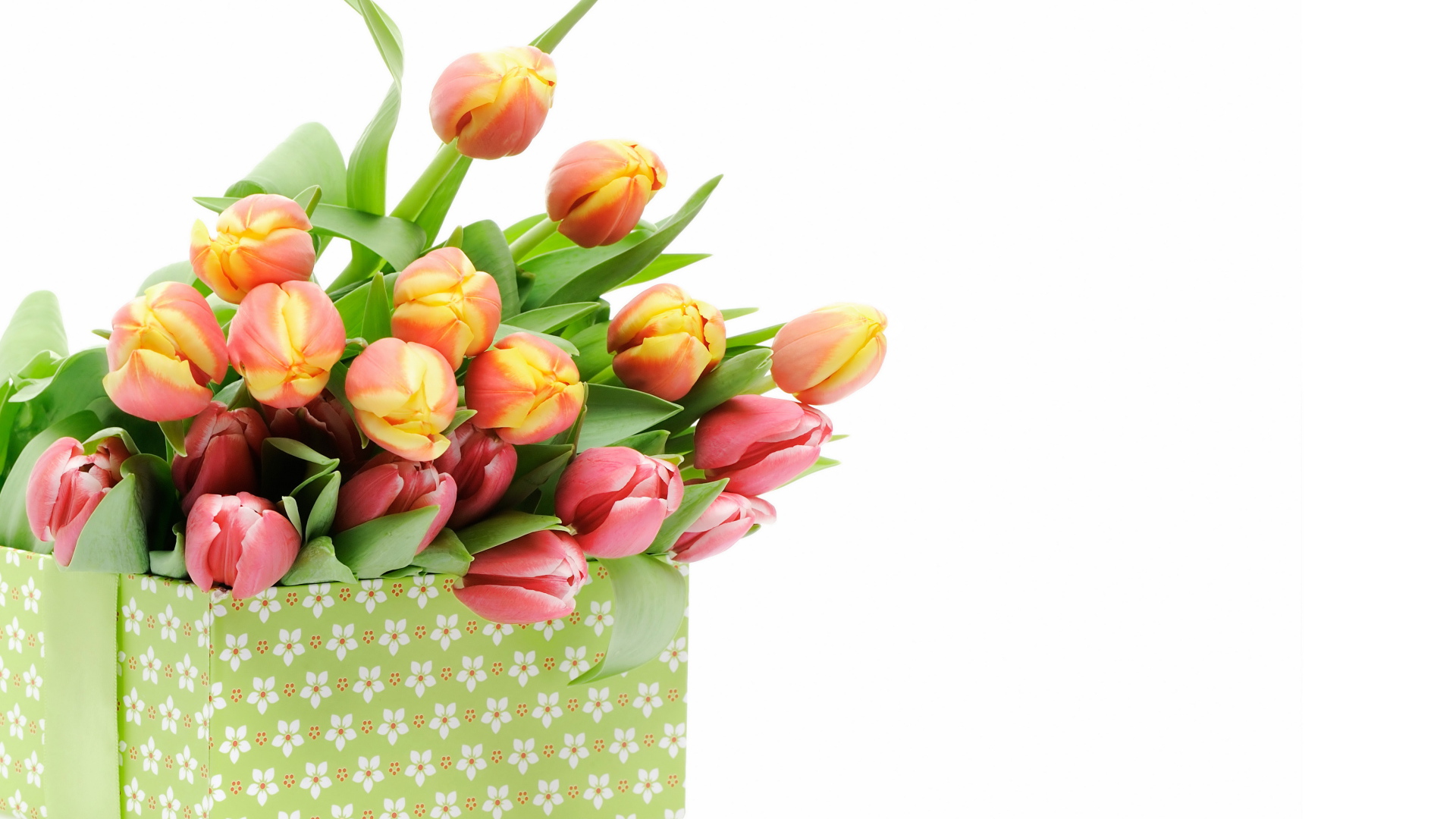 Большая коробка с разноцветными тюльпанами