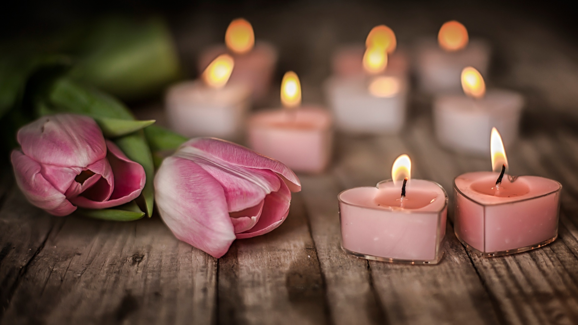 Зажженные стены на столе с розовыми тюльпанами 
