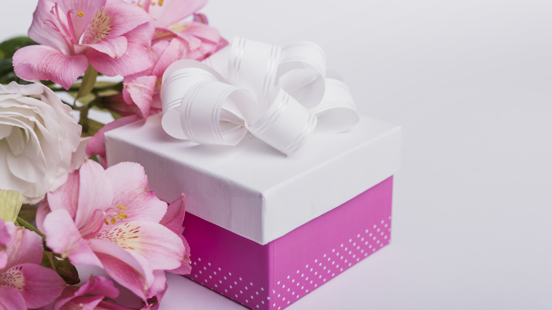 Розовые цветы альстромерии на сером фоне с подарком 