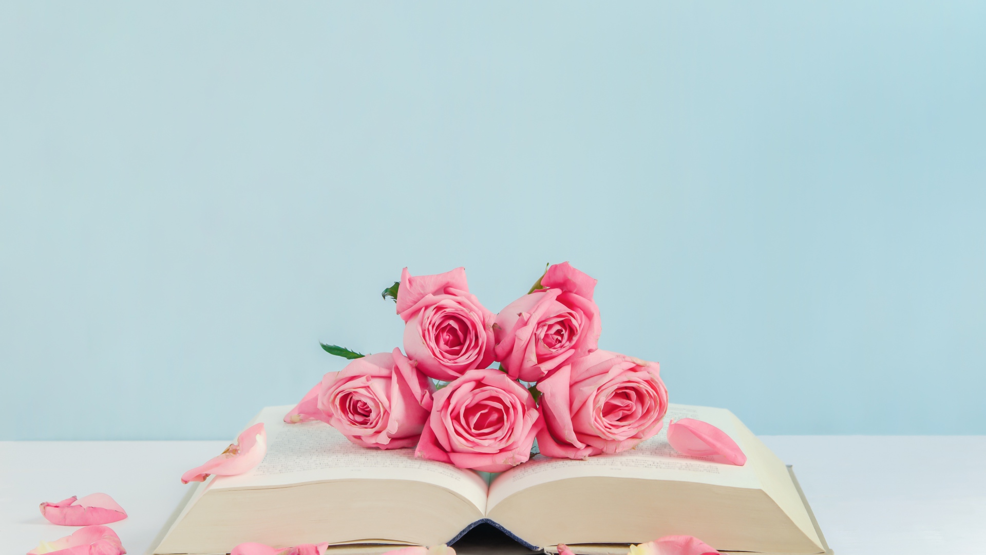 Розовые цветы розы с книгой на голубом фоне