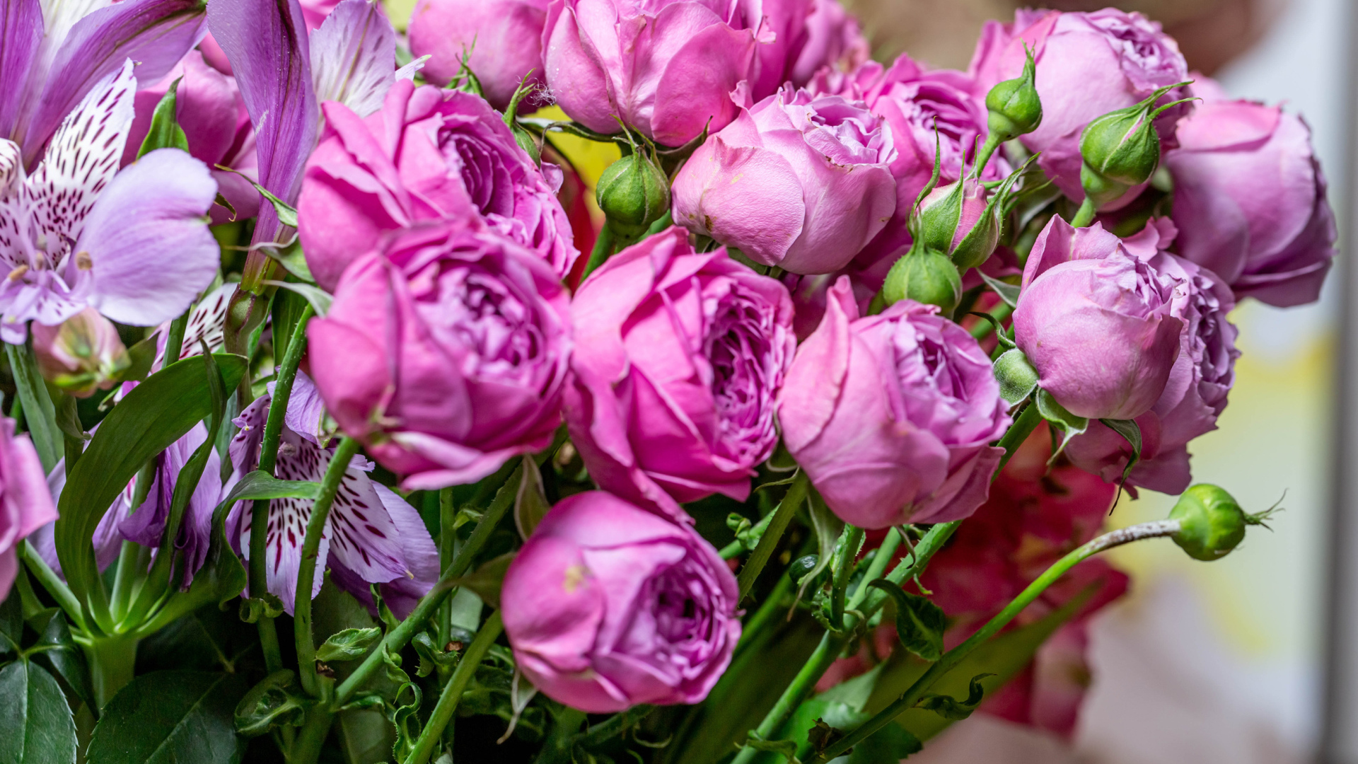 Розовые розы с бутонами в букете с цветами альстромерии