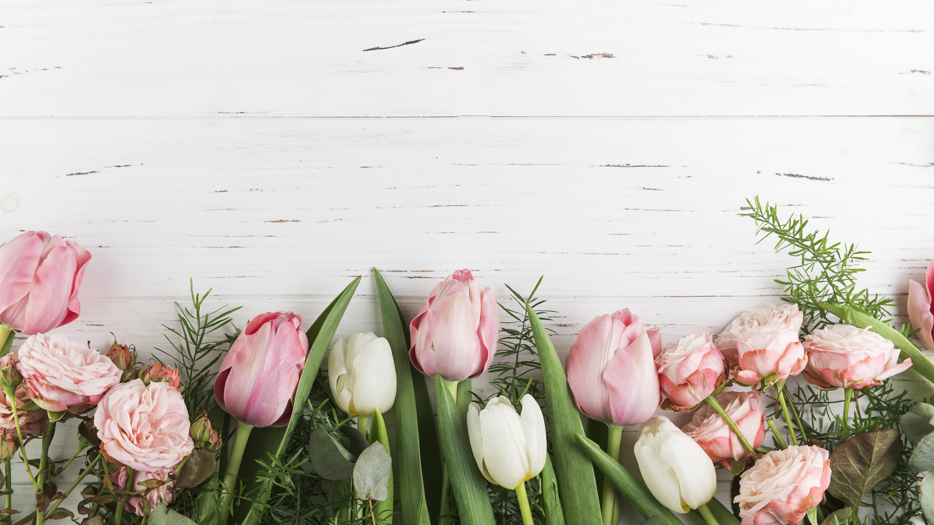 Розовые тюльпаны и розы на белом фоне