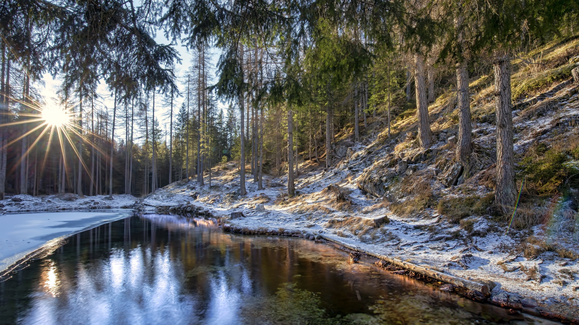 Берега реки в сосновом лесу покрыты морозом 